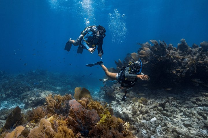 Key Largo Discover Scuba Diving Experience (No Experience Needed) - Photo 1 of 12